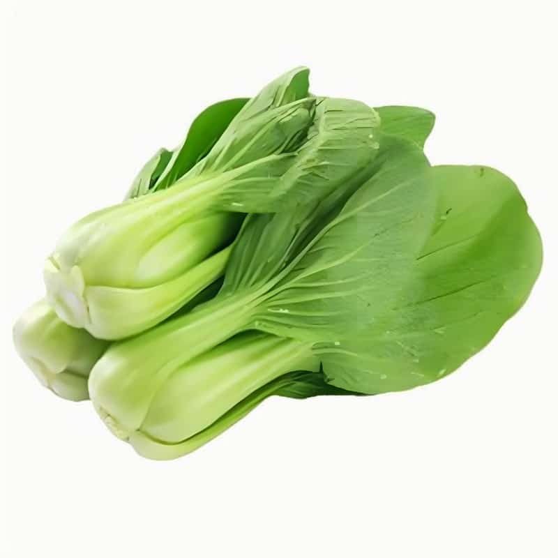 仙游县配送蔬菜公司电话