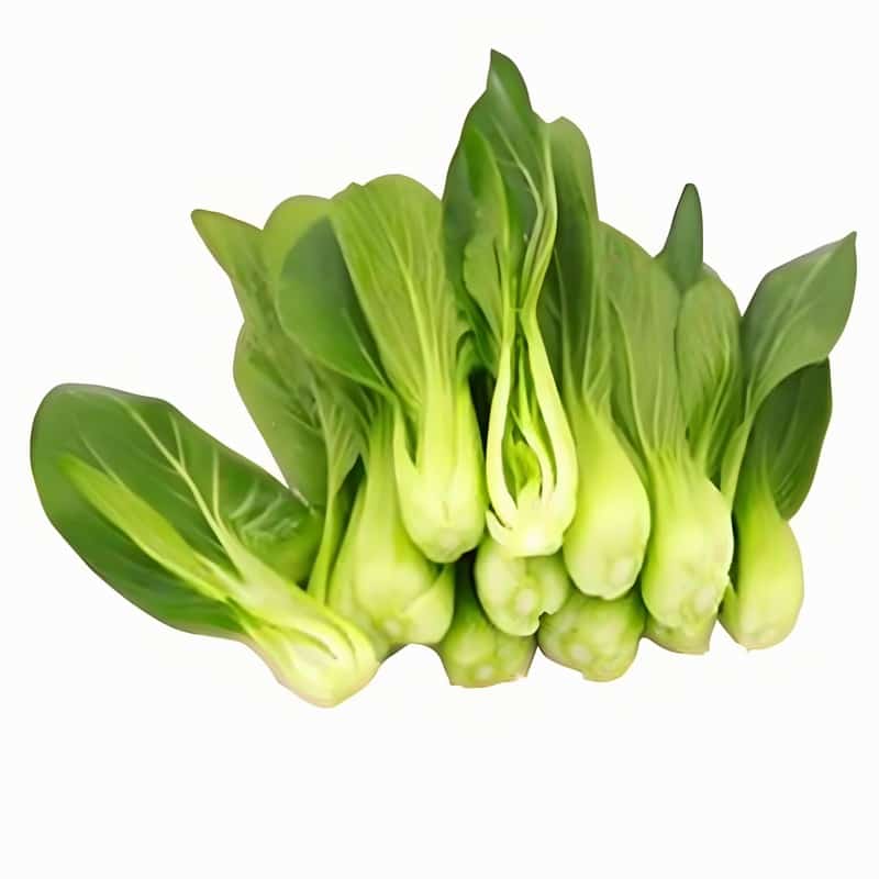 嘉兴新鲜蔬菜配送服务商