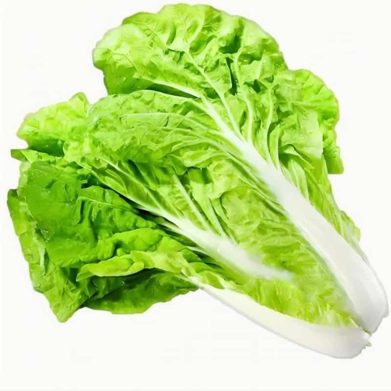 永福县蔬菜配送中心电话