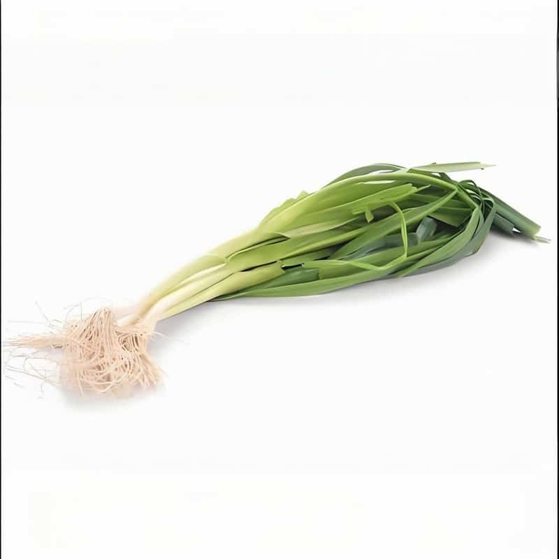 普兰店蔬菜配送站点电话