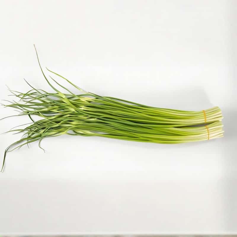 千链蔬菜配送怎么样