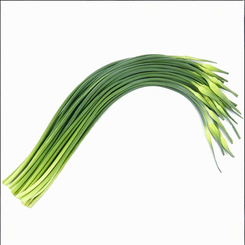 青白江蔬菜配送中心地址