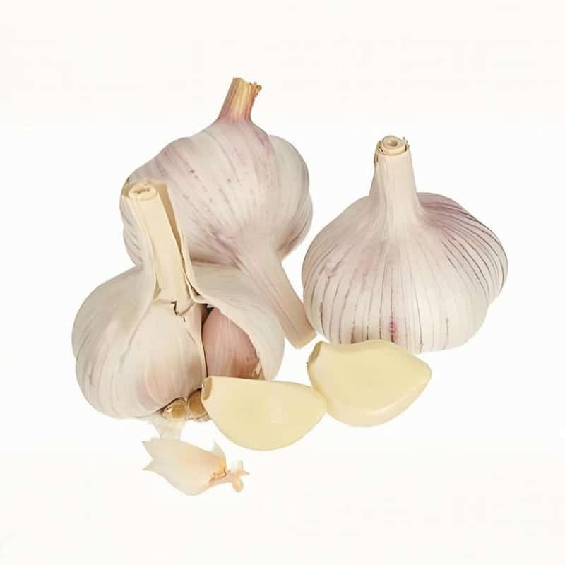 蔬菜米油配送方案怎么写