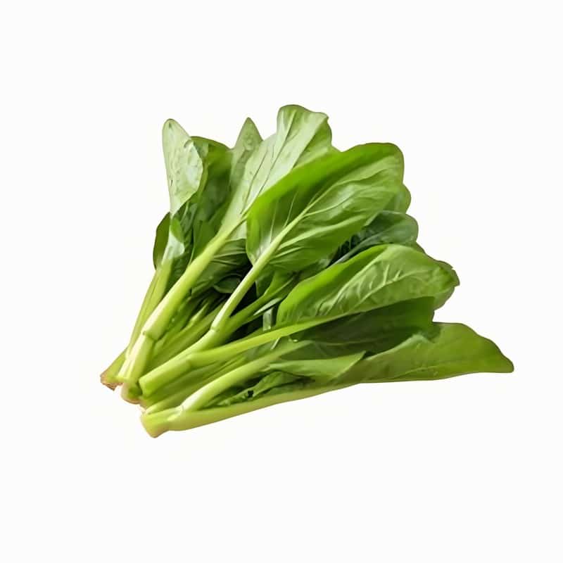 太原蔬菜配送加工视频