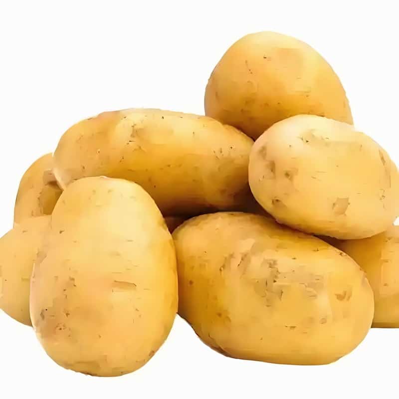 九龙井小区蔬菜配送中心