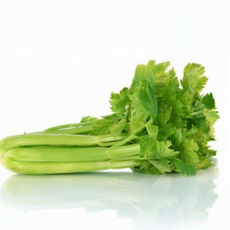 同城蔬菜上门配送怎么样