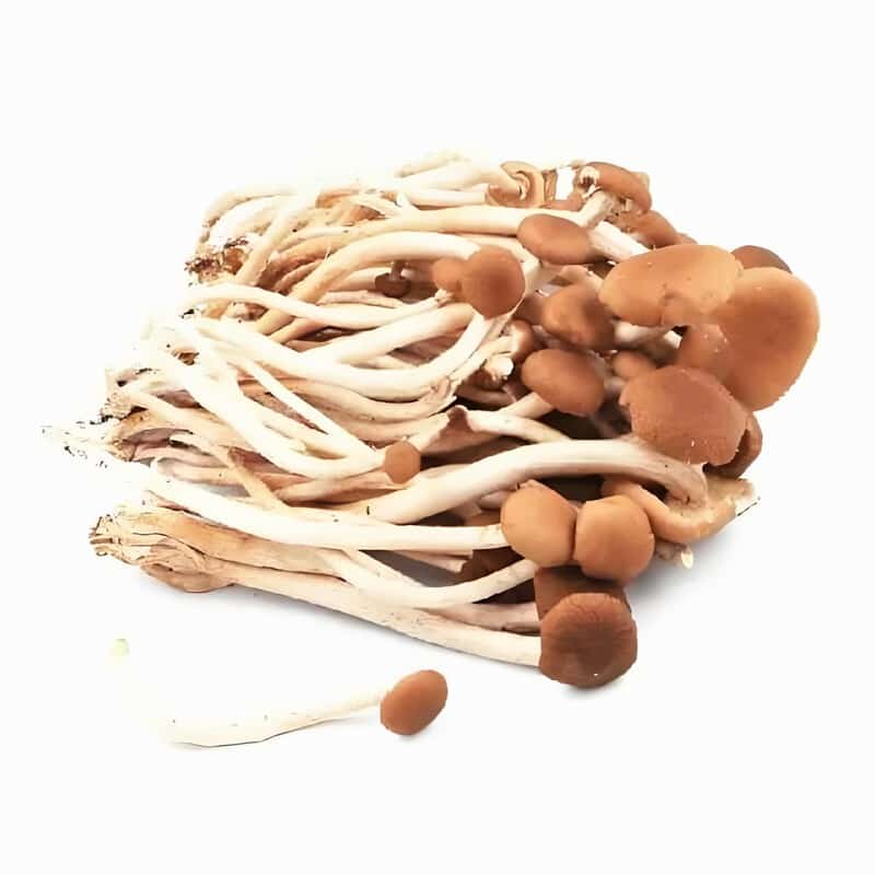 潮州哪里招蔬菜配送员啊