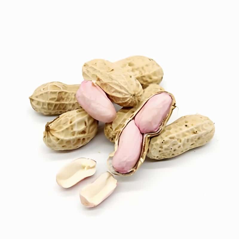 崇明陈家镇蔬菜配送中心