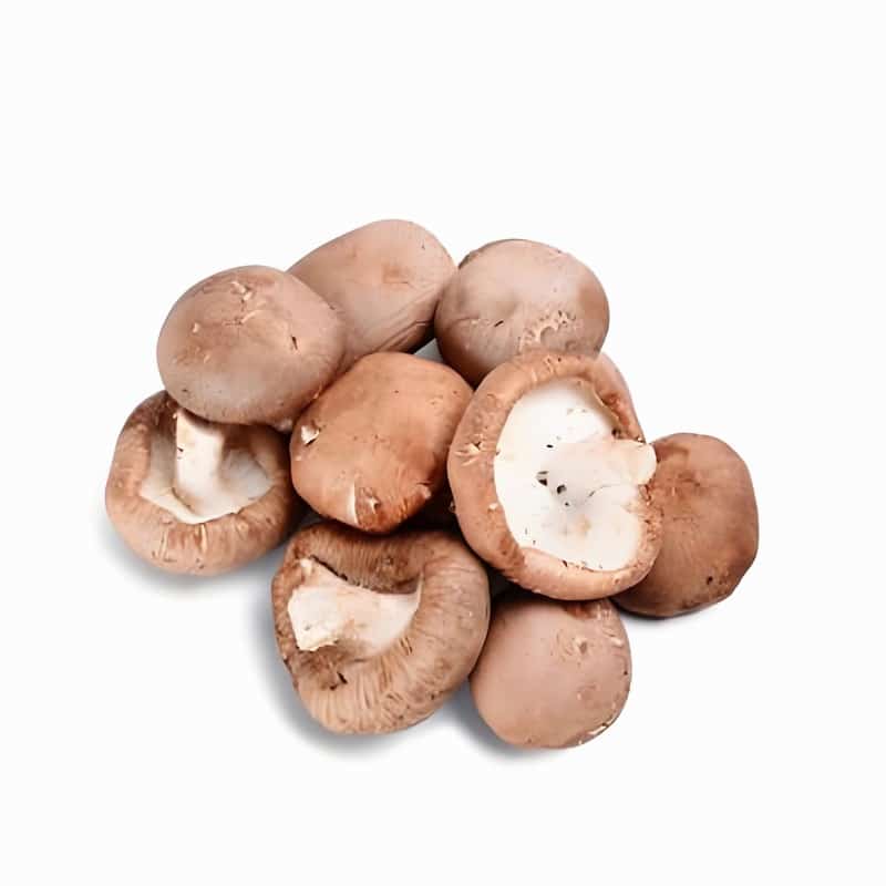 河源西餐厅蔬菜配送公司