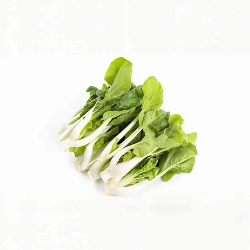 天河蔬菜配送企业排名榜