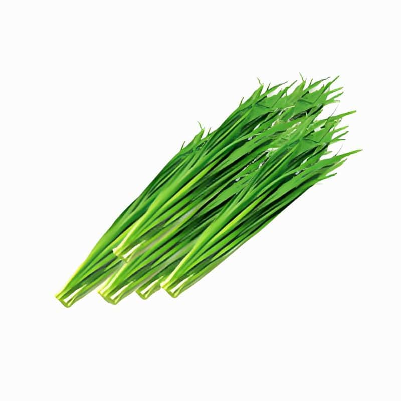 贵阳市蔬菜配送店地址