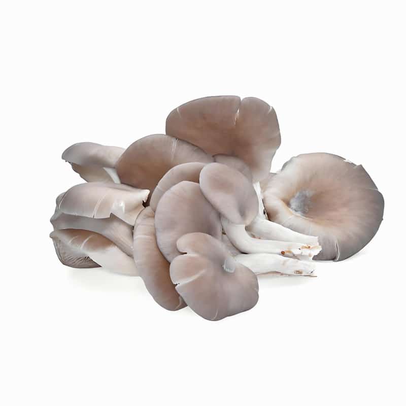 奉贤区同城蔬菜配送店