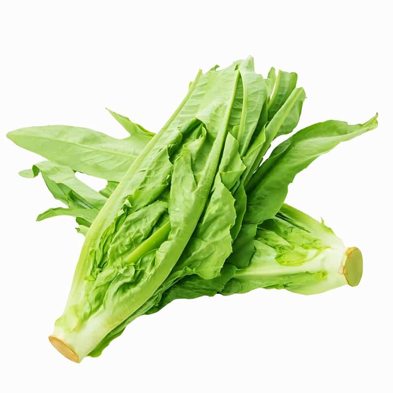 舒城蔬菜配送司机招聘网