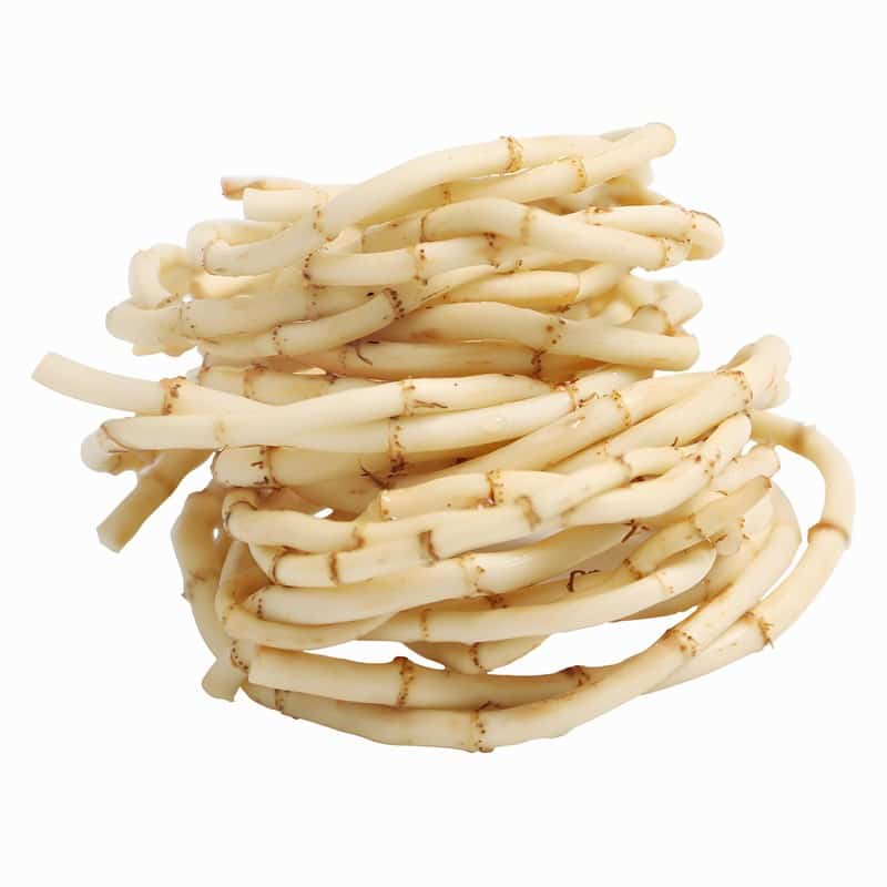 白云区蔬菜配送公司厂家