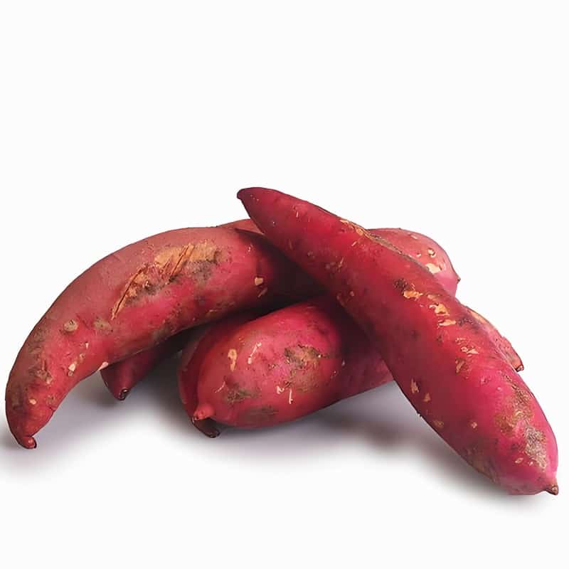 黄瓜芥蓝齐上阵 夏季防暑有妙招盛夏