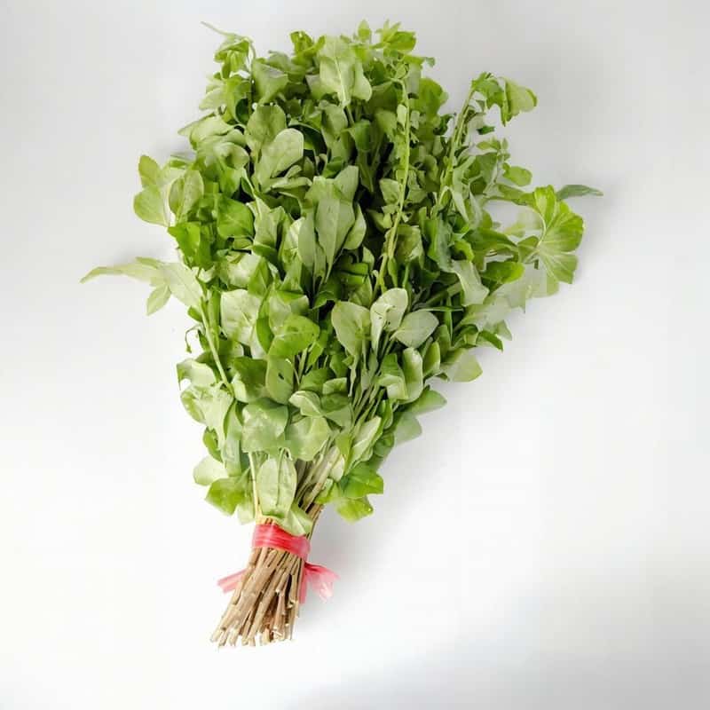 顺德北滘蔬菜批发配送