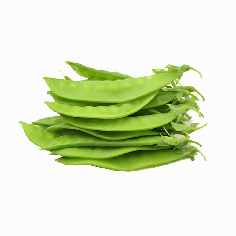 盛捷蔬菜配送公司电话地址