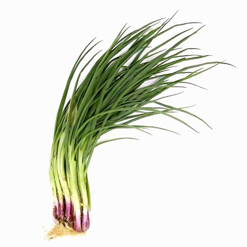 松江文翔蔬菜配送电话