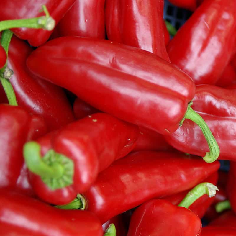 松岗生鲜蔬菜配送中心在哪里