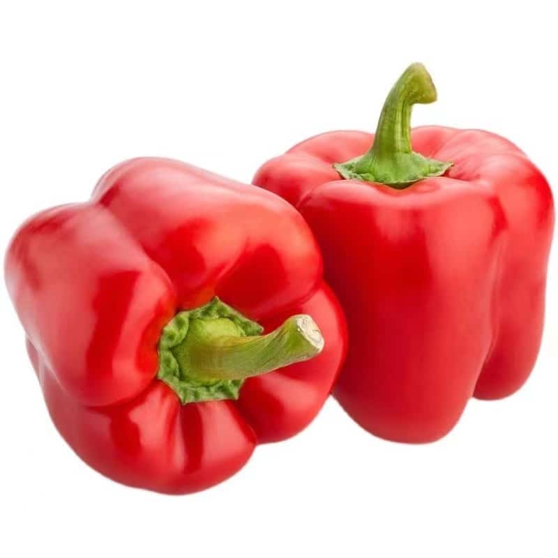 虎门同城蔬菜批发配送中心