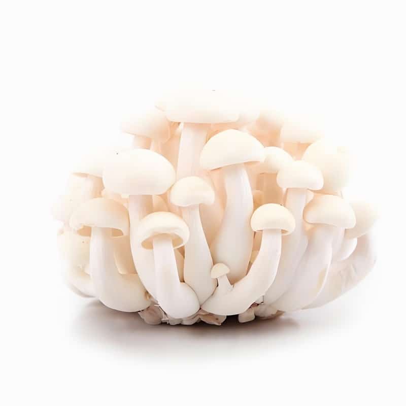 长安专业蔬菜配送厂家