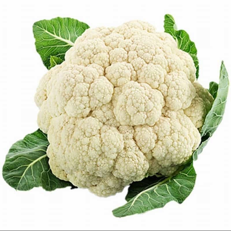 茶山蔬菜批发配送公司