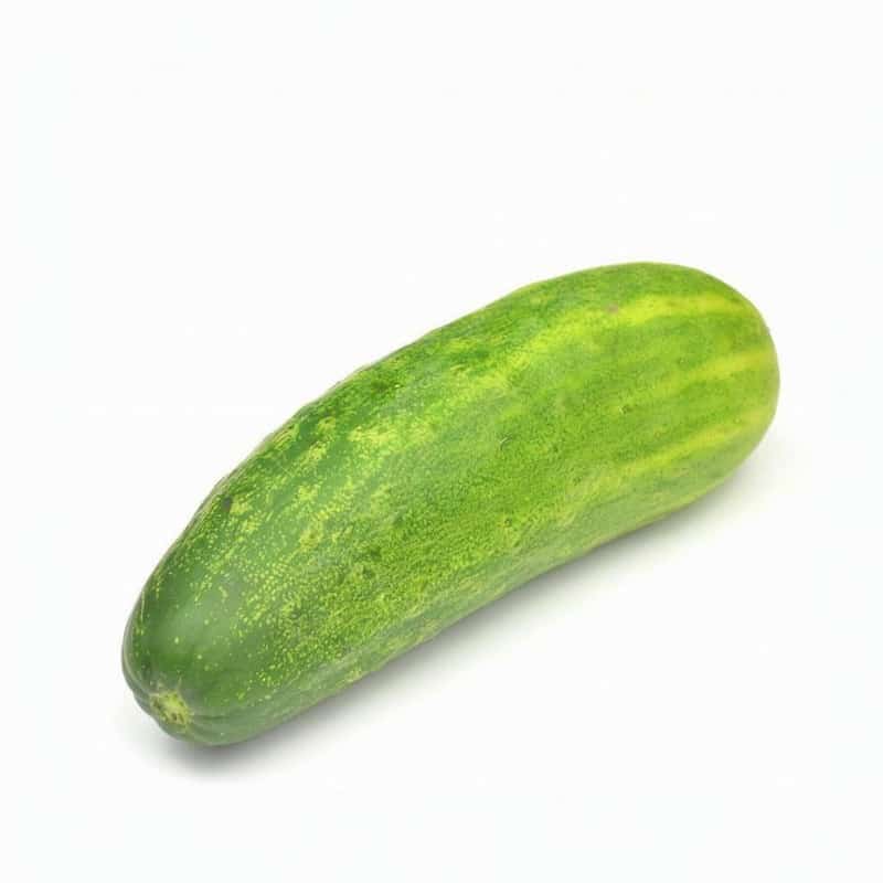 招人配送蔬菜怎么说话的