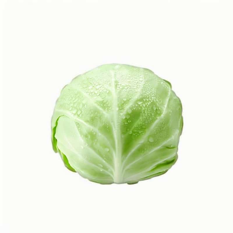 南海狮山蔬菜配送公司电话