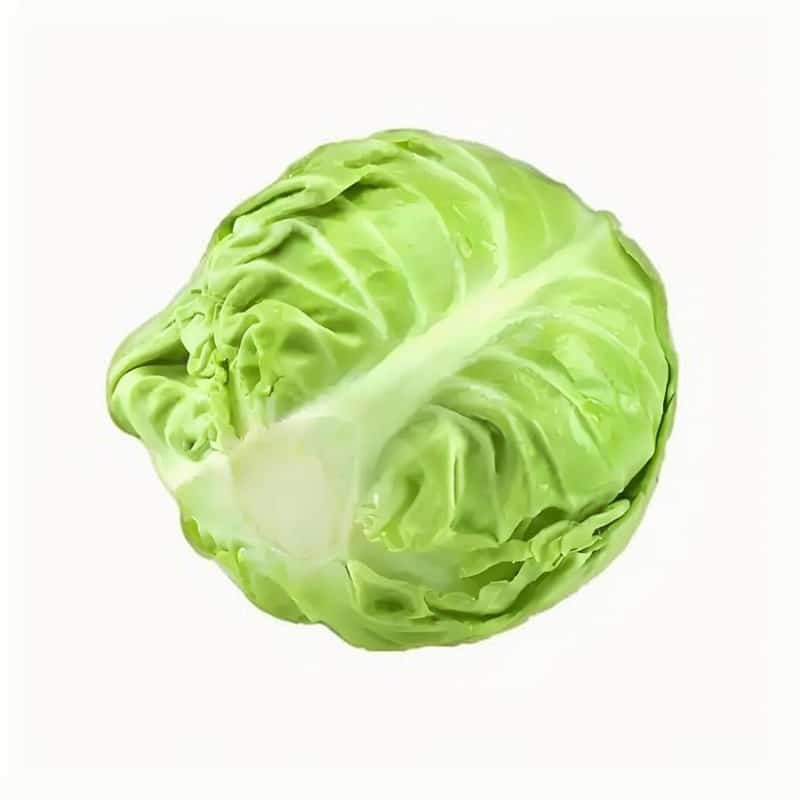 东莞水果蔬菜批发配送公司