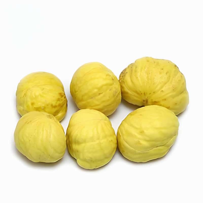 南京专业配送蔬菜服务