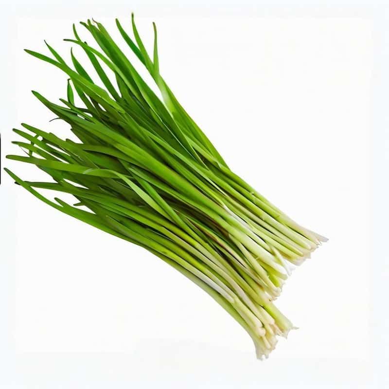 西乡黄田公司蔬菜配送报价