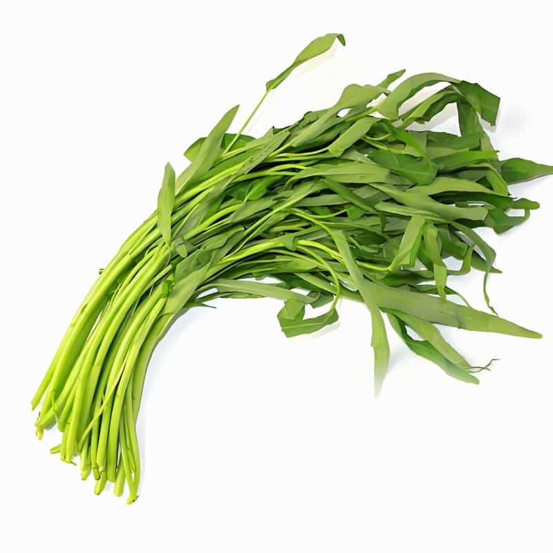 定州西关菜市场蔬菜配送