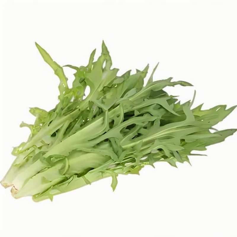 肉类蔬菜批发配送图片大全