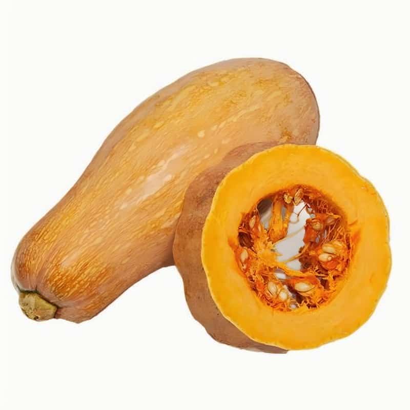 信氏蔬菜配送中心电话地址