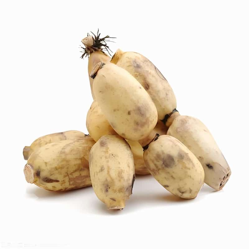 蔬菜配送中心厂家价格表