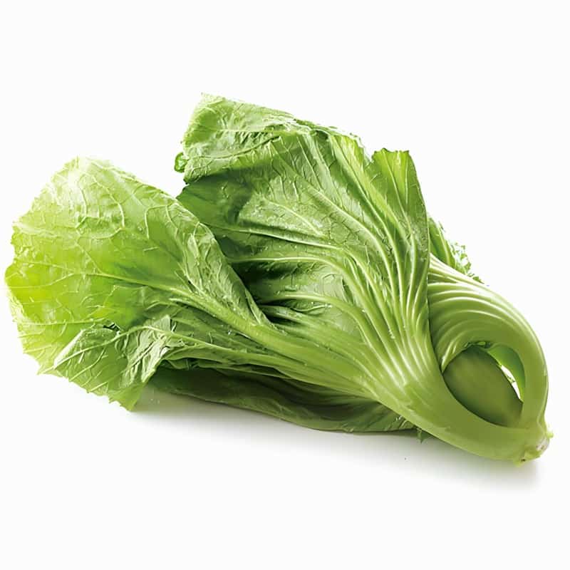 江苏粮油蔬菜配送品牌