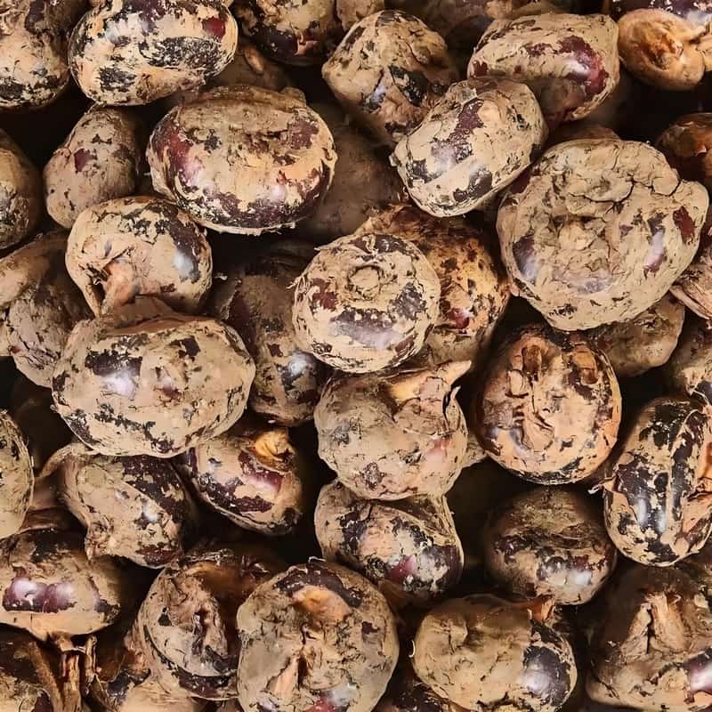 物流配送蔬菜储存要求