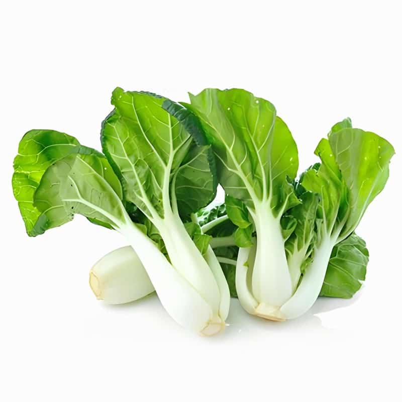 富锦蔬菜配送公司电话号码