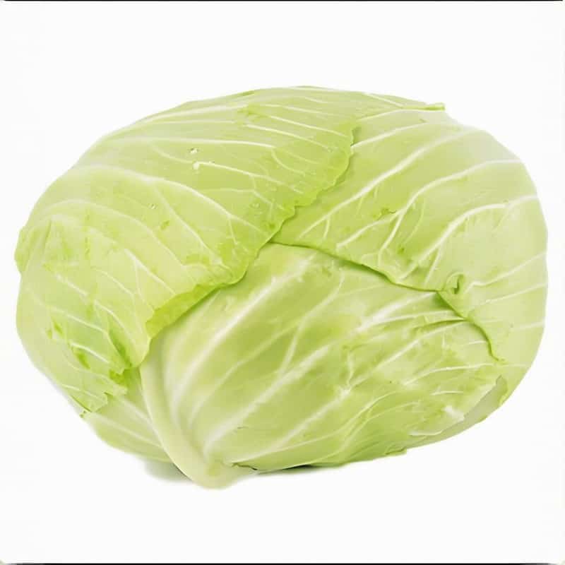 长春餐饮蔬菜配送招聘网