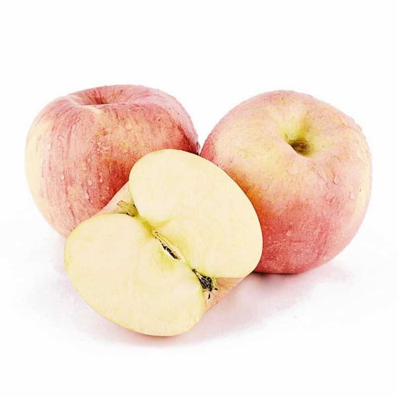 食材配送招标公告