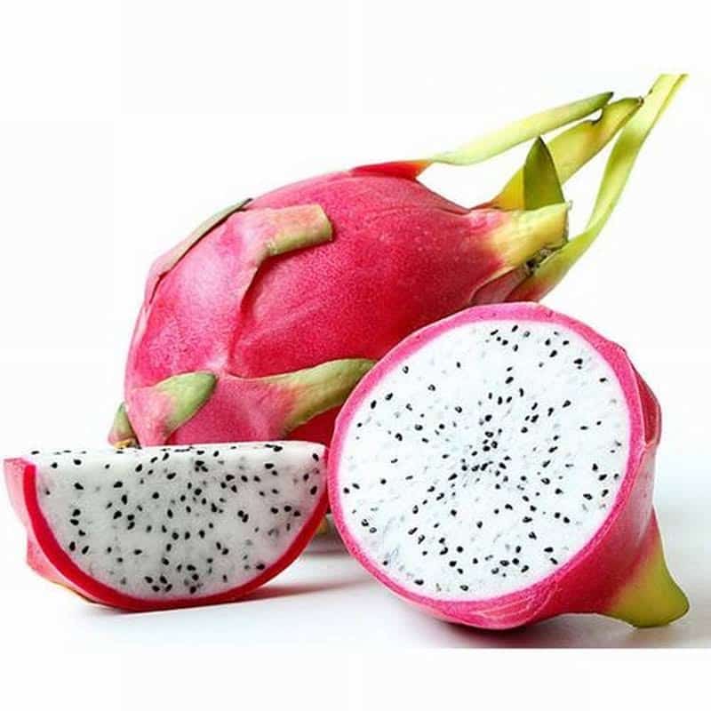 食材配送招标：保障安全与品质，携手共创美好饮食环境