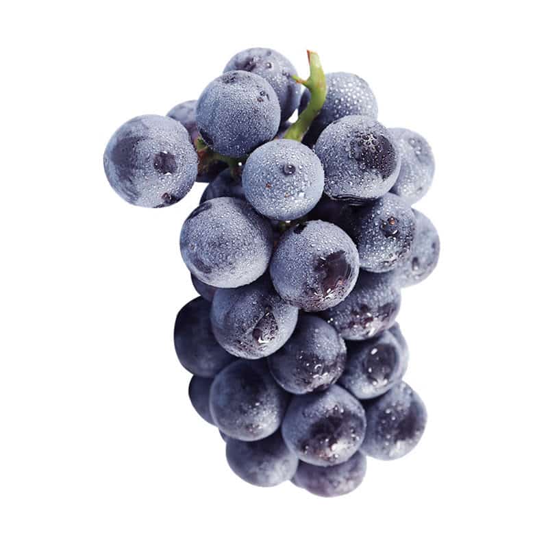 食材配送需求下的工厂思考